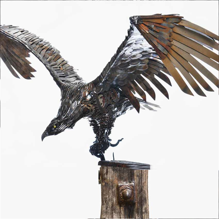 Dining Out - American Eagle reclaimed metal sculpture created by Alan Williams Metal Artist 2012