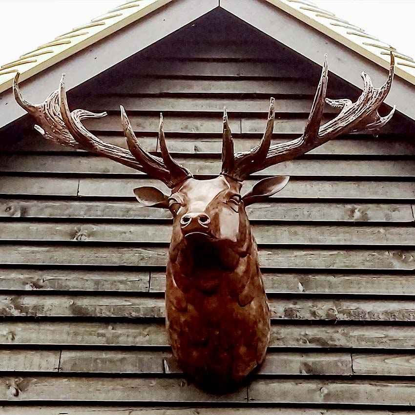 Antlers from a Sky Park Farm sire stag used as reference for Alan Williams’ deer sculpture