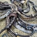 Metal Octopus Wall Art Sculpture by Metal Artist Alan Williams 2026. Auction Item October 2026